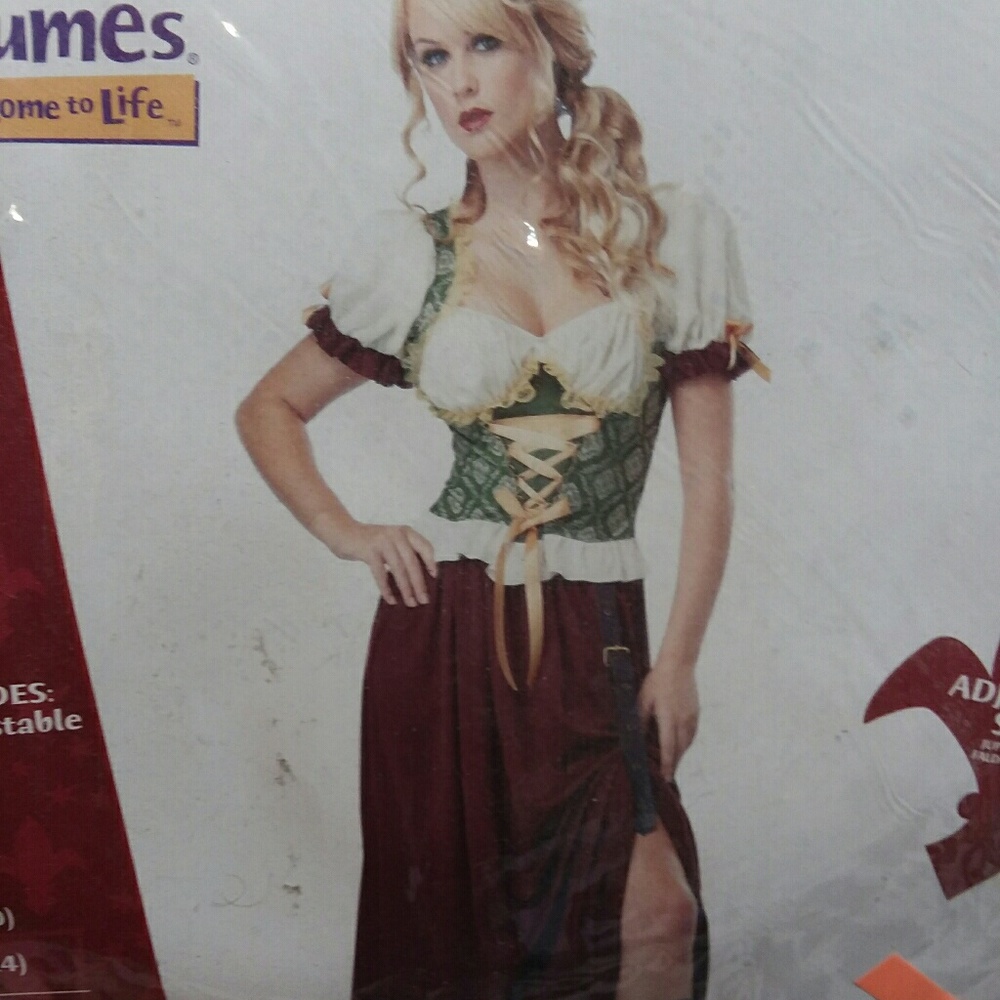 Renaissance Wench Costume